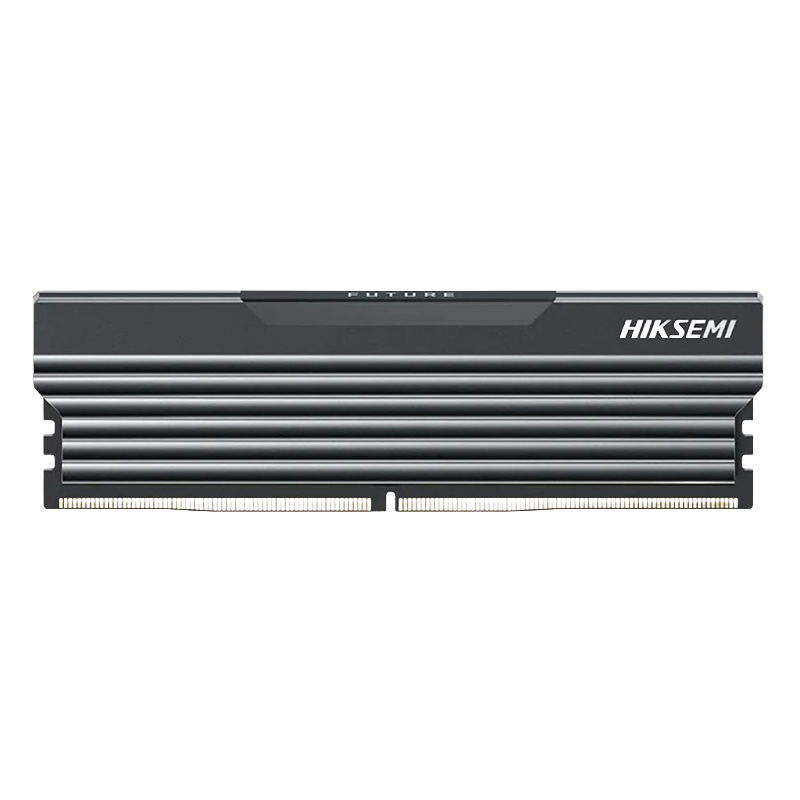 Memoria RAM DDR4 HIKSEMI 32GB 3200MHz Future Black