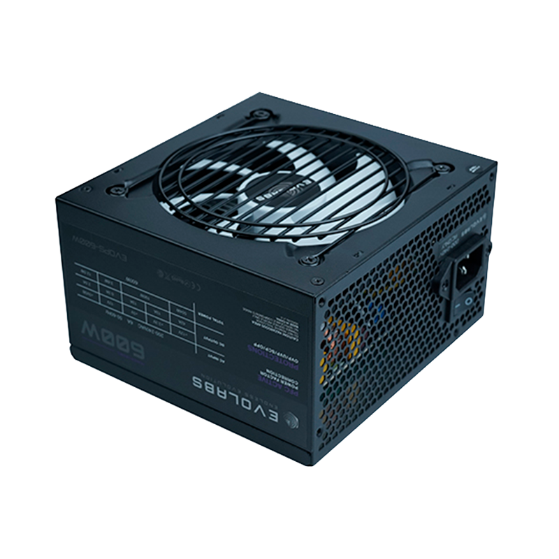 Fuente EVOLABS 600W Power Series