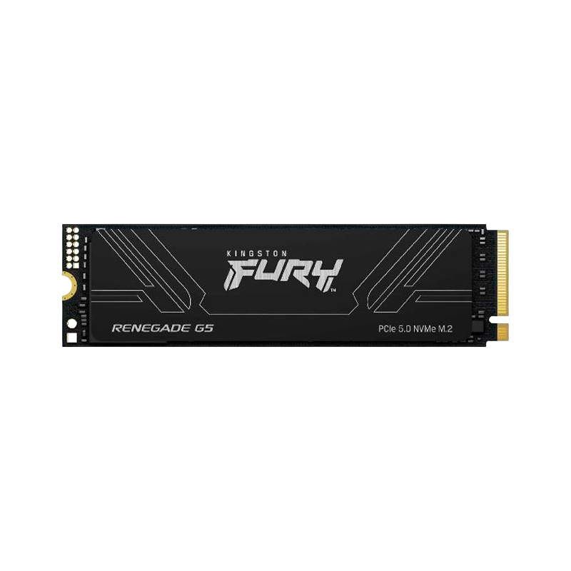 Disco SSD M.2 KINGSTON 1TB Fury Renegade NVMe Gen5