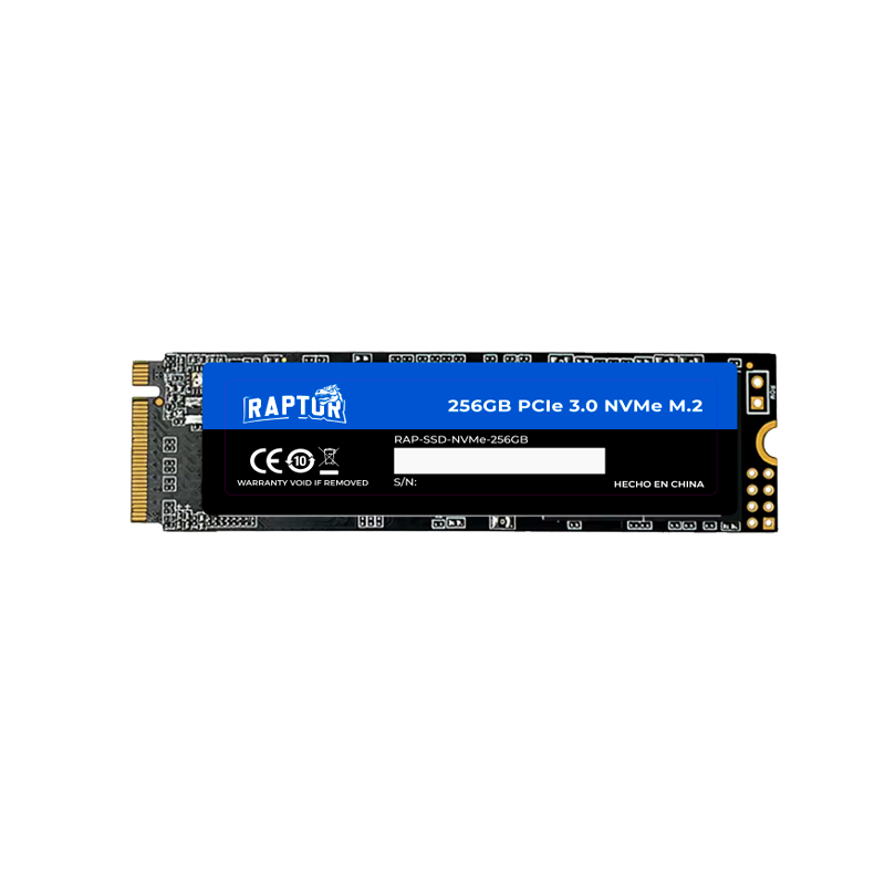 DISCO SSD M.2 RAPTOR 256GB LEGACY NVME GEN3