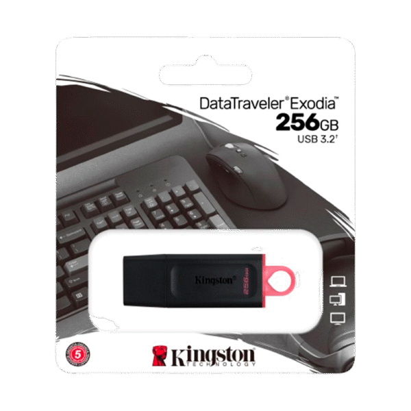 Pendrive KINGSTON 256GB USB 3.2 DTX