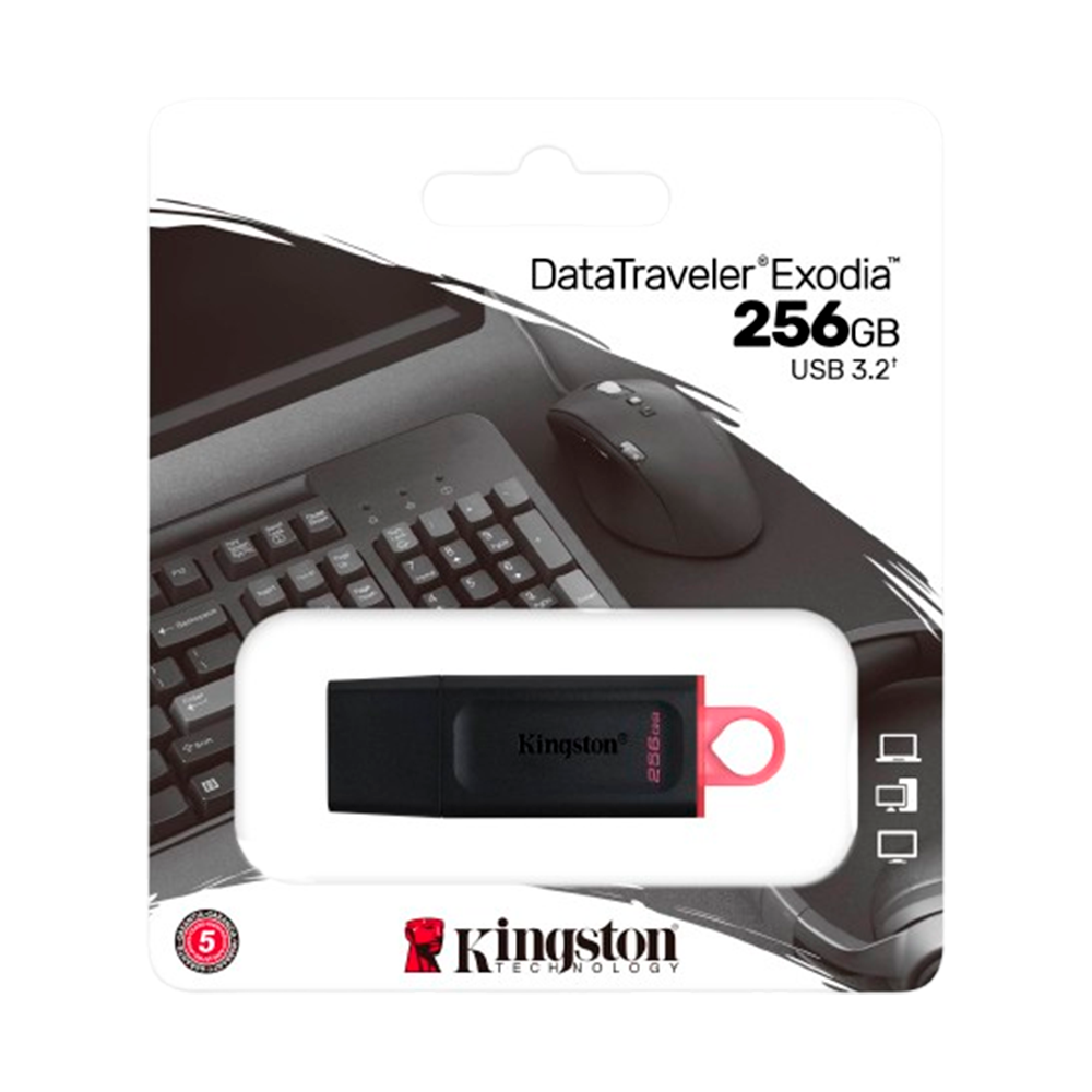 PENDRIVE KINGSTON 256GB USB 3.2 DTX
